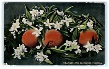 1912 Jacksonville FL Florida Oranges & Blossoms Early Postcard View picture