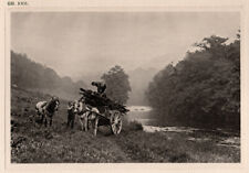 1905  Photogravure, Edward Hepburn, Landscape, British Pictorialist ,  picture