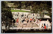 Grave of John F Kennedy Overlooking Capital from Arlington Cemetery Postcard picture