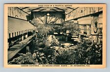 St. Petersburg FL-Florida, Tropical Garden Cafeteria Antique Vintage Postcard picture