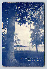 Scenic View From Walnut Grove Resort Gull Lake Michigan MI Postcard picture