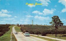 Clermont FL Florida Citrus Tower Orange Groves Orchard Farms Vtg Postcard C65 picture
