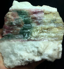 1108g Natural Watermelon Color Tourmaline Crystal Rough Stone Specimen H445 picture