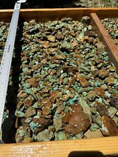 ROYSTON NEVADA Stabilized Turquoise One Pound Lots  05-25-2024 picture