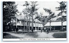 Pine Grove & Pavilion Averill Park NY Rensselaer County Postcard G3 picture