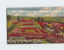 Postcard Terraces of the Hershey Rose Garden Hershey Pennsylvania USA picture