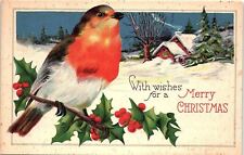 c1910 MERRY CHRISTMAS WISHES RED BRESTED BIRD SNOW SCENE POSTCARD 41-221 picture