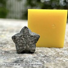 Crinoid star fossil - tidmoor point, dorset, oxford clay, jurassic period picture