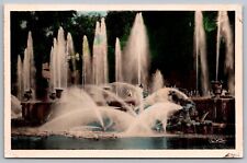 Versailles France Neptunes Basin Fountain Historic City Landmark WB Postcard picture