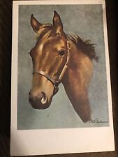 Horse Portrait, Pub by Cape Shore Paper, Portland Maine, Animal Art Postcard picture