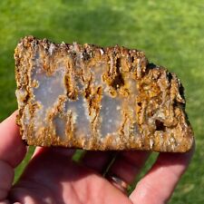 Liberty Ledge Plume Agate Rough Faced End Cut 364gm (G19) picture
