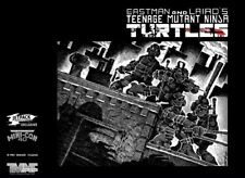 TEENAGE MUTANT NINJA TURTLES #1 40th ANNIVERSARY EDITION - JETPACK COMICS PMC40 picture