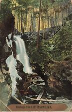 Scenic Greetings from Lestershire New York NY Waterfall c1910 Postcard picture