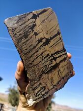 2.9  lb  Indian Paint Stone, Death Valley, cabbing rough, lapidary- picture