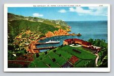 WB Postcard Catalina Island CA California Home of Wm Wrigley Jr Residence picture