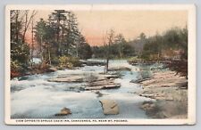Postcard View Opposite Spruce Cabin Inn Canadensis Pennsylvania 1929 picture