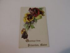 Antique Postcard, Princeton, Maine, Flowers picture