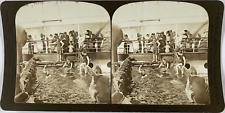 White, Stereo, S.S. Siberia, sport on shipboard, the morning dip in the swimming picture