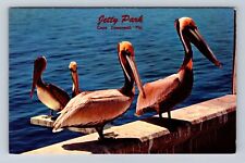 Cape Canaveral FL- Florida, Jetty Park, Antique, Vintage Souvenir Postcard picture