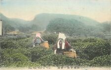 Postcard C-1905 Japan Wujitea pickers hand colored occupation 23-11138 picture