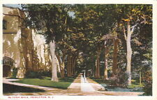  Postcard Mc Cosh Walk Princeton NJ  picture