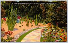 Vtg St Petersburg Florida FL Turners Sunken Gardens Tropical Cactus Postcard picture