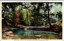 C. 1930 Mill Dam Wissahickon Creek Gwynedd Valley PA Postcard Normandy Farm picture
