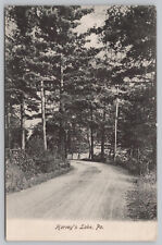 Harvey's Lake PA Pennsylvania - Country Road near Harveys Lake  - Postcard 1911 picture