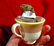 Taxidermy small  mouse in tea cup with saucer picture
