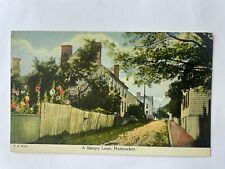 A Sleepy Lane Nantucket MA Massachusetts Postcard 1910s picture
