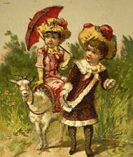 c.1880s Stoutenburgh Co Clothing Manufacturer Newark NJ Boy Girl Riding Goat  picture
