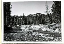 1970s Cowboys Ranchers Pack Horses Crossing Creek Western West Vintage Photo  picture