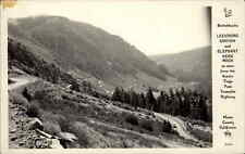 Yosemite California CA Leevining Canyon Vintage Real Photo Postcard picture