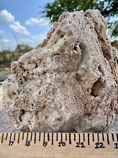 OUTSTANDING* 10.4 Lb Sparkling Quartz Crystal Encrusted Coral Fossil Rock-Texas picture