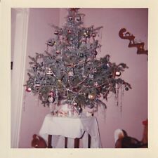 Vtg Found Color Photograph Family Christmas Tree December Holidays 1960s picture