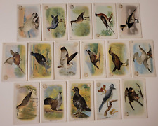 1908 NEW SERIES OF BIRDS Trading CARD SET 16/30 CHURCH & DWIGHT Arm & Hammer picture