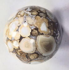 Coral Jasper 91mm Large Sphere Unique Interior Gift  Home or Office Decor 6116 picture