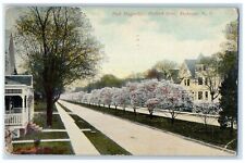 1912 Pink Magnolias Tree-lined Oxford St. Rochester New York NY Antique Postcard picture