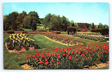 Postcard Hershey Pennsylvania Rose Gardens Tulip Display Chocolate Town USA PA picture