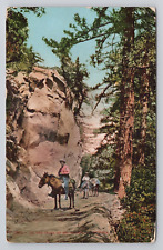 On The Trail Up Mt Wilson California c1910 Antique Postcard picture