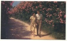 Oleander Time In Bermuda Postcard picture