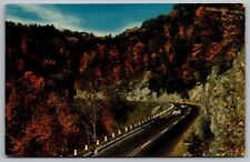 Dead Mans Curve Mohawk Trail Massachusetts Country Road Old Cars Forest Postcard picture
