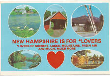 VINTAGE  POSTCARD  NEW HAMPSHIRE   IS FOR LOVERS     MULTI-SCENE   NH-23 picture