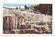 Vintage Hyman Terrace Mammoth Hot Springs Yellowstone NP Postcard Unused picture