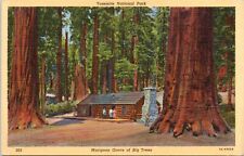 1938 Yosemite National Park Mariposa Grove Of Big Trees California Postcard 77 picture