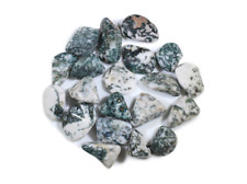 Tree Agate Tumbled Gemstones - Bulk Wholesale Options - 1 LB picture