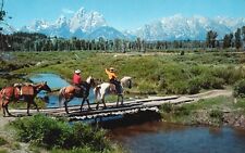 On the Trail, a Pause, to Enjoy Scenic Splendor, Chrome Vintage Postcard e4537 picture