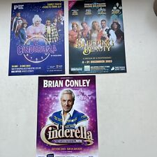 3 Different Theatre  Flyer PANTO PANTOMIME  2023 picture