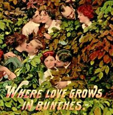 C.1911 Love In The Bushes. Grows In Bunches. Comic. Esther To Alma Alves. VTG picture