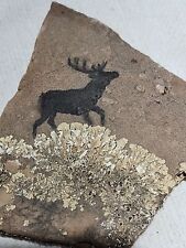 Vintage Art Cave Painting Deer With Fossils On Flagstone picture
